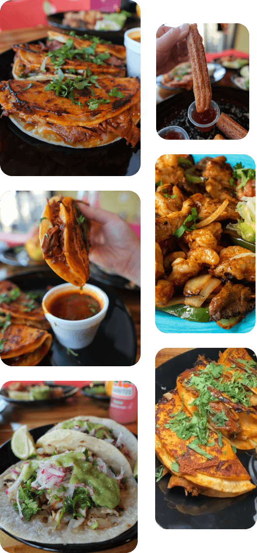 Catering dishes